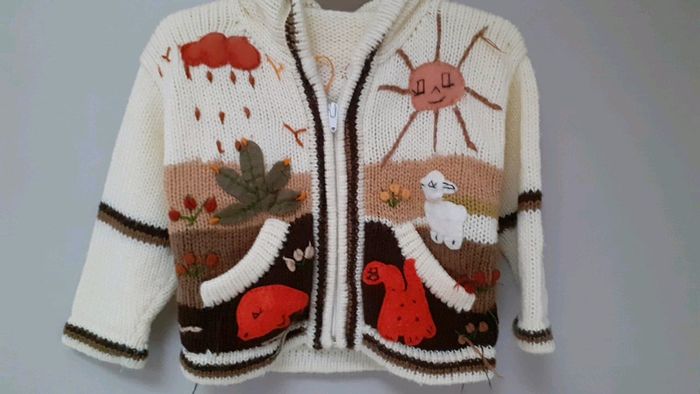 Pull à capuche 6 mois