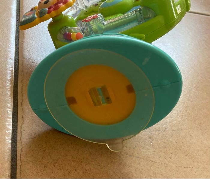 La grande roue des baby loulous - photo numéro 4