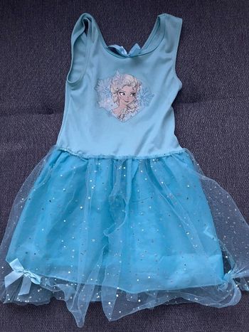 Déguisement des neiges