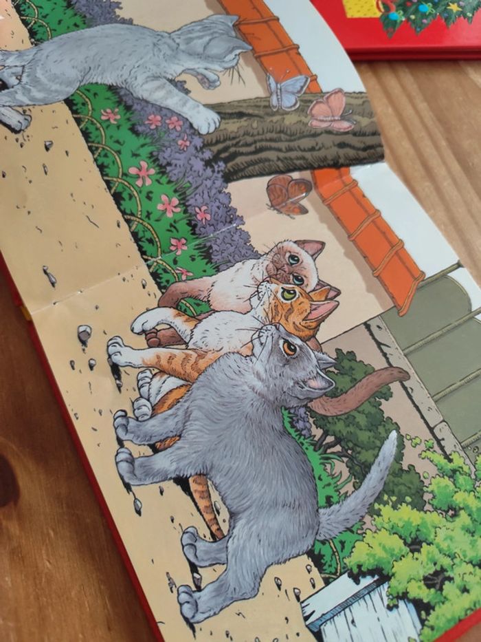 Livre chat - photo numéro 5