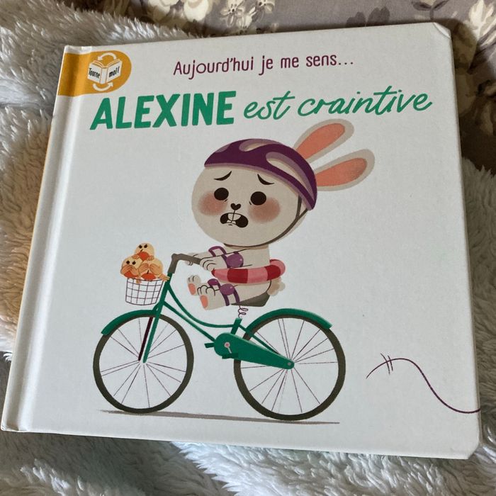 Livre aujourd’hui je me sens Alexine est courageuse - photo numéro 2