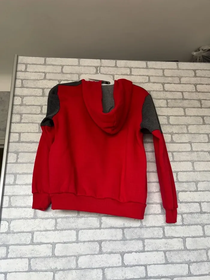Sweat-shirt à capuche garçon 12 ans - photo numéro 2