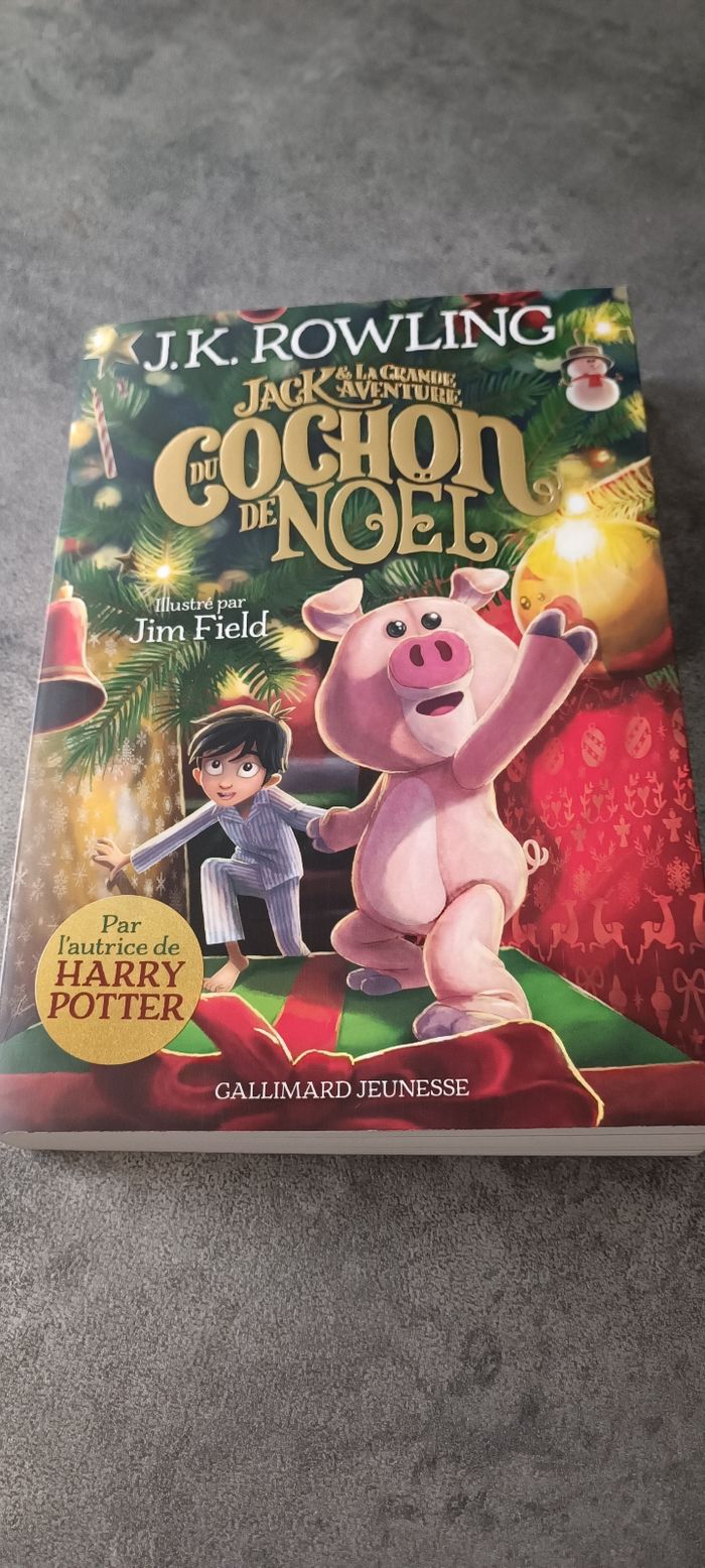 Livre le cochon de Noël