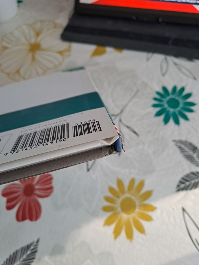 Over the ocean - photo numéro 3