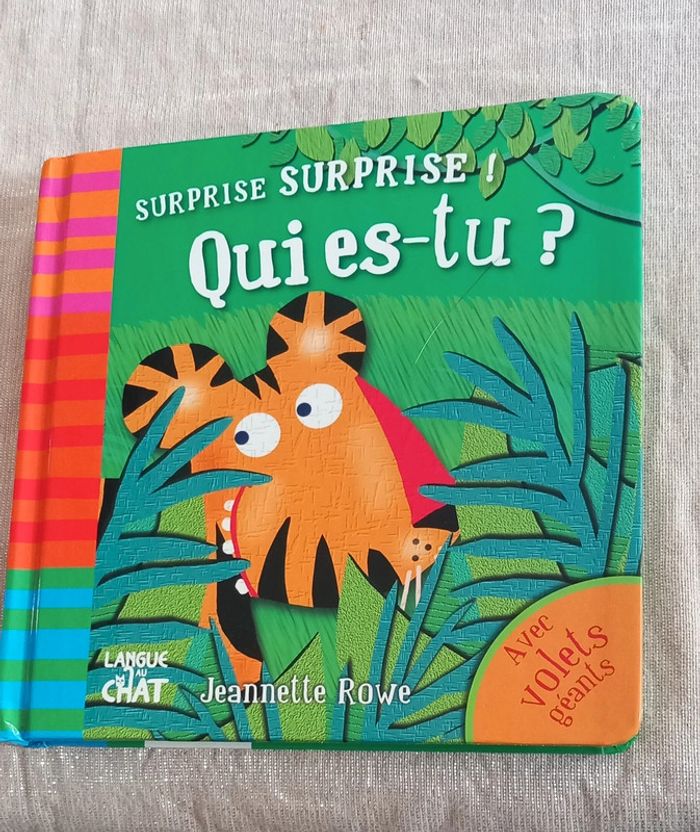 Surprise surprise Qui es tu ?