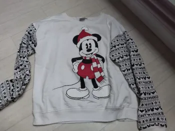 Sweat 14 ans Disney