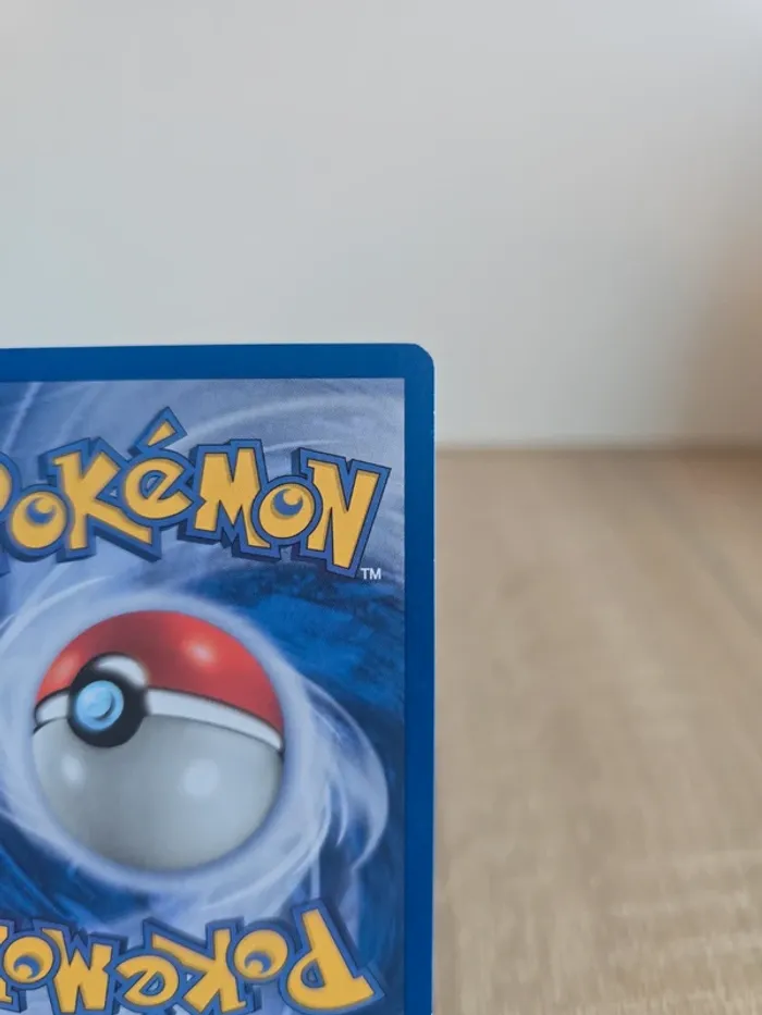 Lilia 68/110 - photo numéro 8