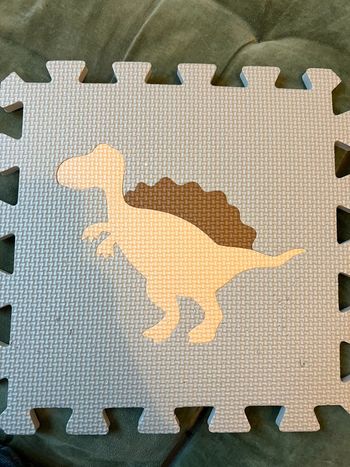 Tapis de sol dinosaures