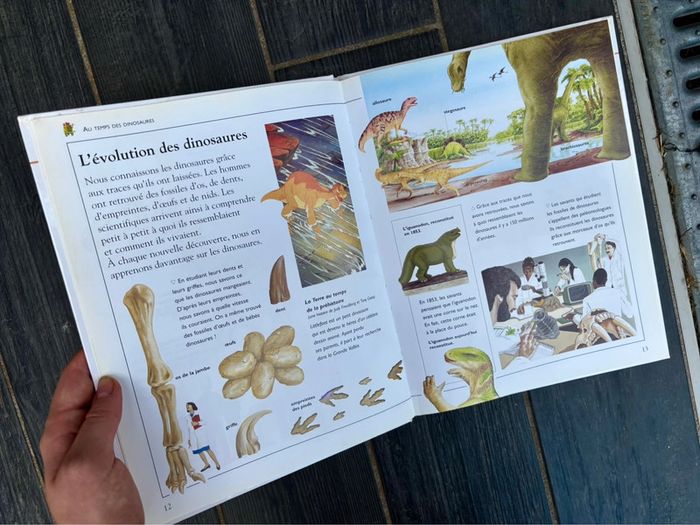 Livre Ma première encyclopédie : Les dinosaures pour les Enfants à partir de 6-10ans - photo numéro 5
