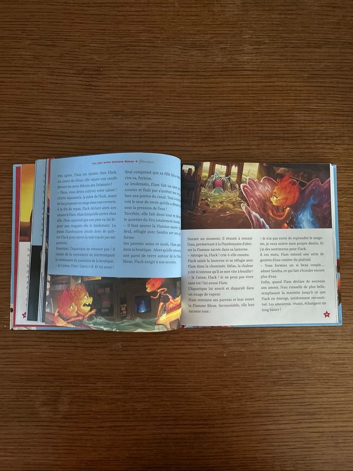 Livre Disney - photo numéro 2