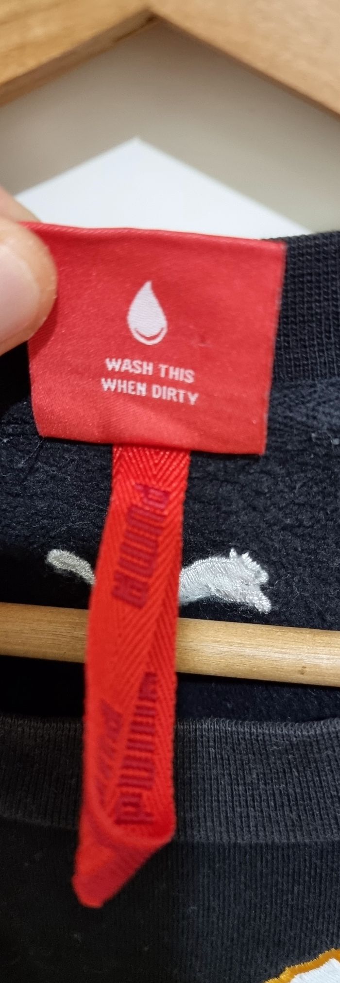 Sweet Puma - photo numéro 4