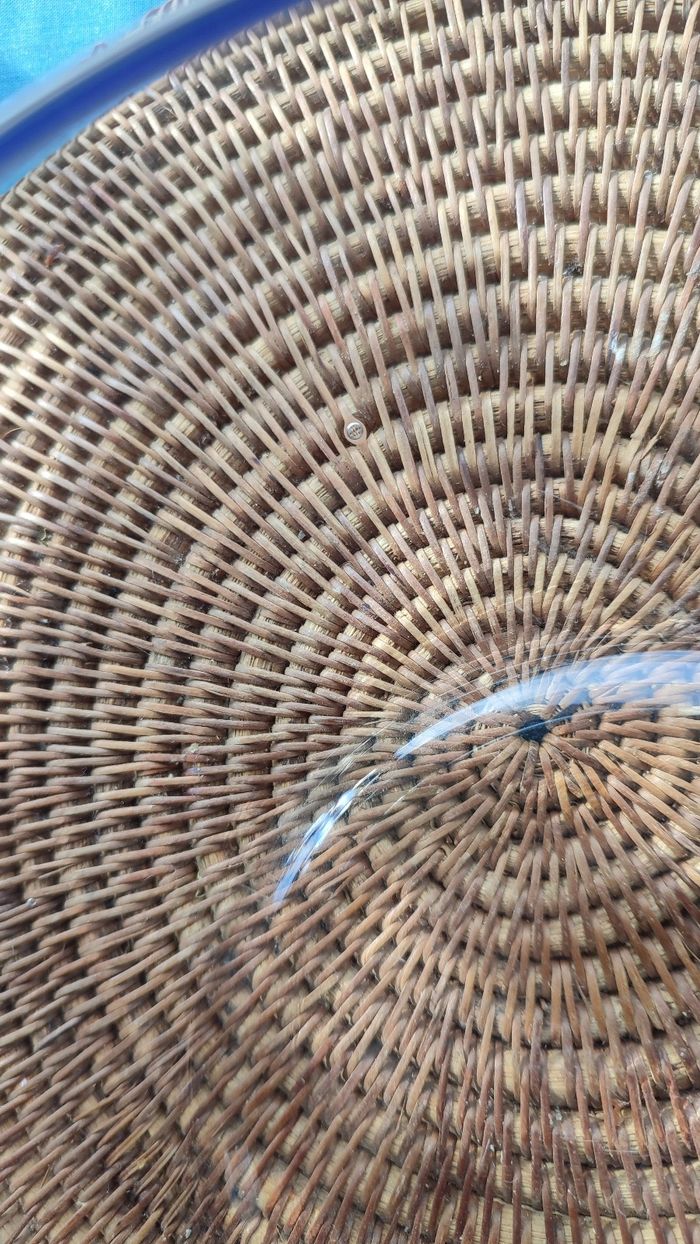 Plat coupelle en verre - photo numéro 4