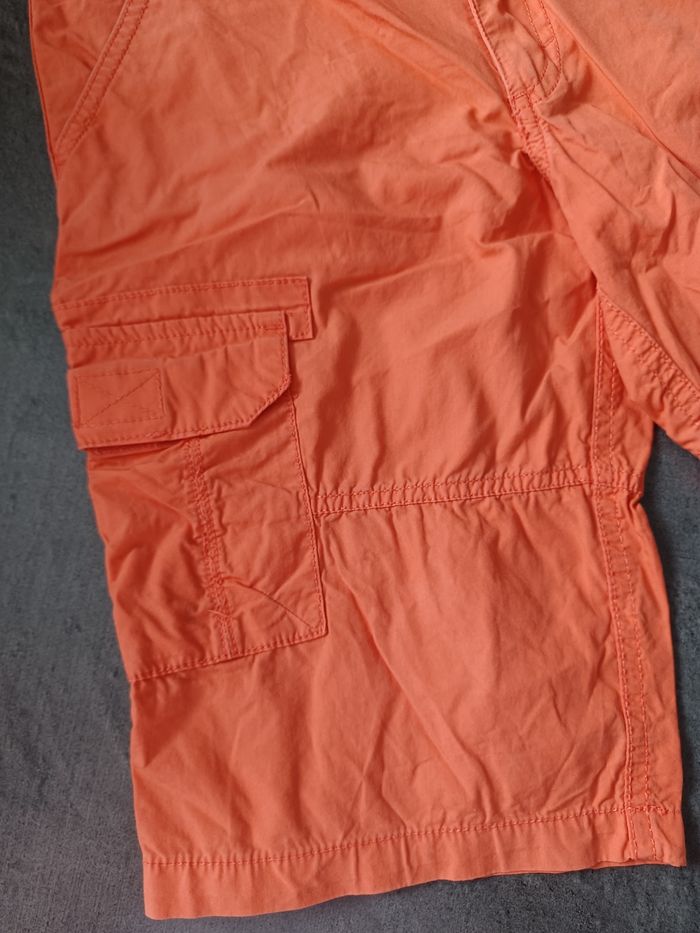 Bermuda sergent major - photo numéro 3