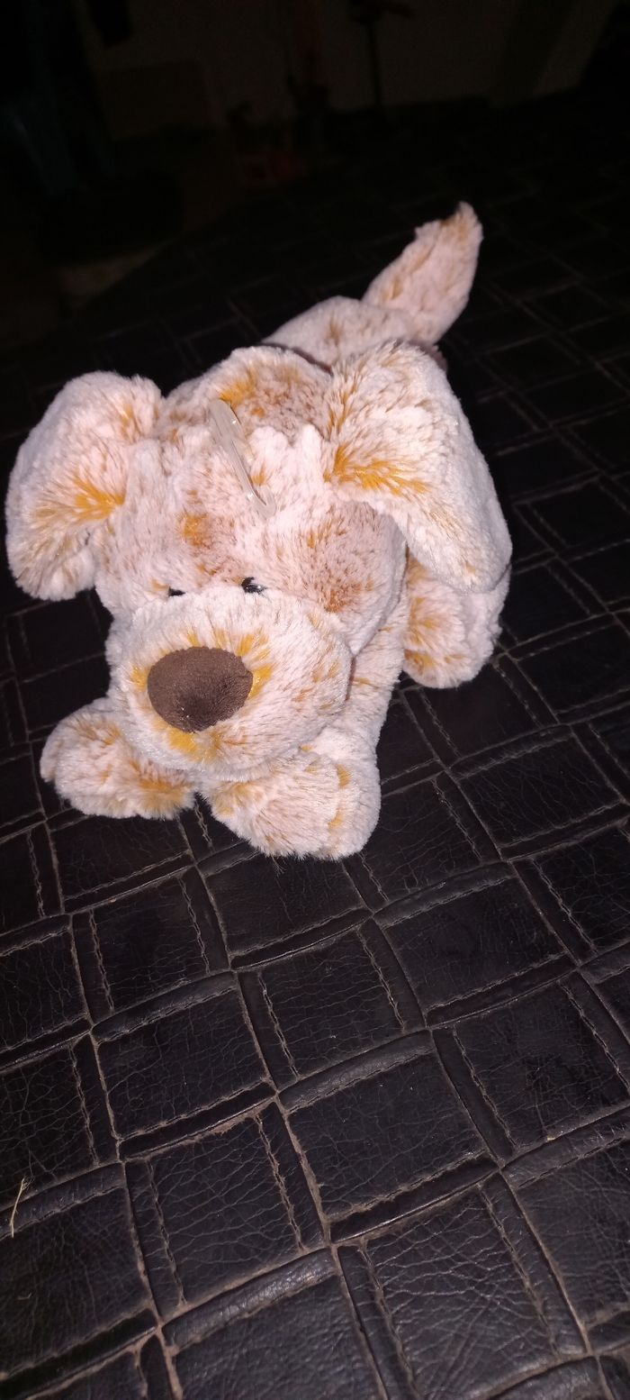 Chien doudou - photo numéro 2