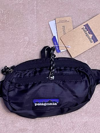 Sac banane Patagonia 1L 