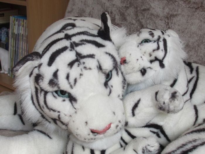 Grande peluche Tigre blanc et son bébé - photo numéro 3