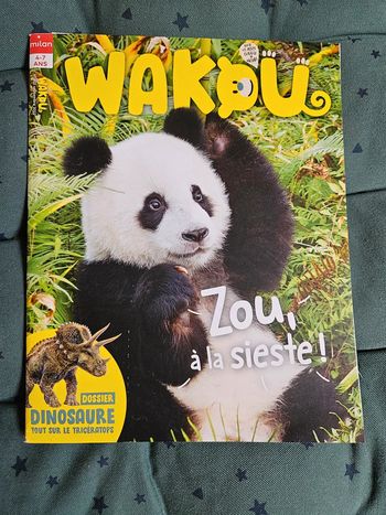 Magazine Wakou