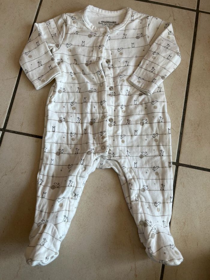 Grenouillère orchestra