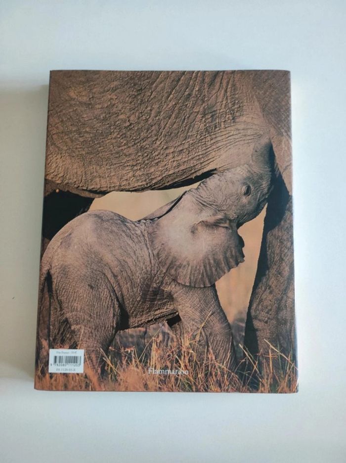 Livre Mères et Petits Une éternelle Histoire D'amour - photo numéro 3