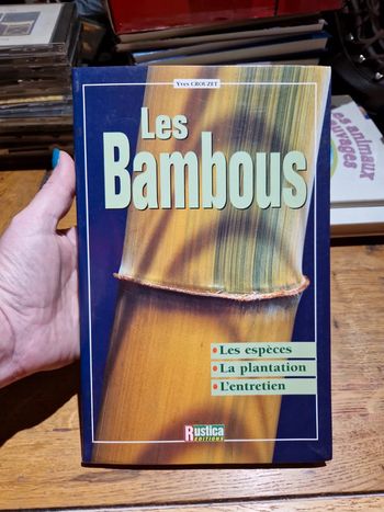Les bambous