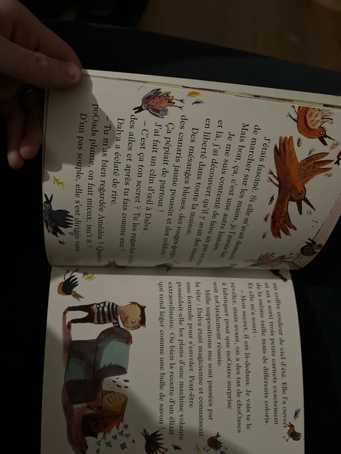 Livre pour enfants le rêve de voler Nathan - photo numéro 3