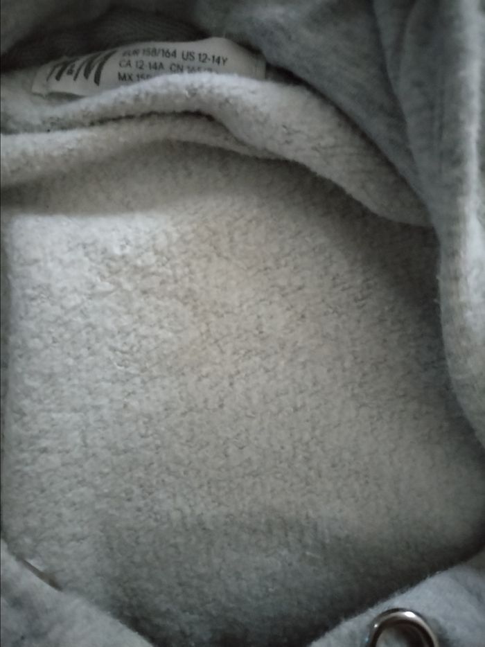 Très beau Sweat à capuche chaud motif tigre pailleté "H&M" 13/14 ans 100% coton - photo numéro 4