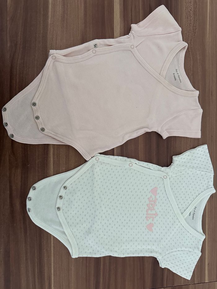 Lot de bodies en coton Pat et Ripaton 9 mois