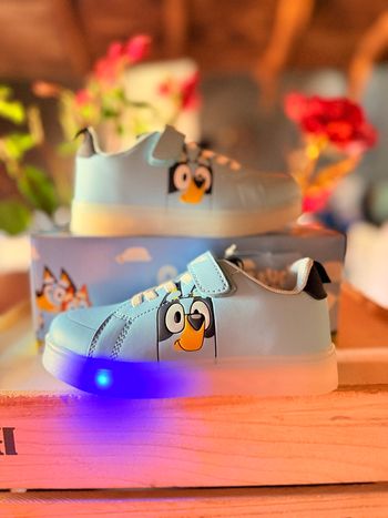 Basket Bluey lumineux 