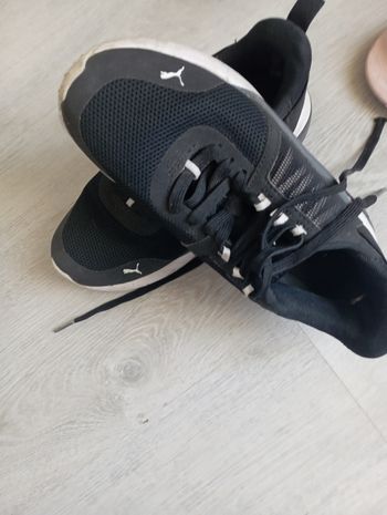 Basket puma