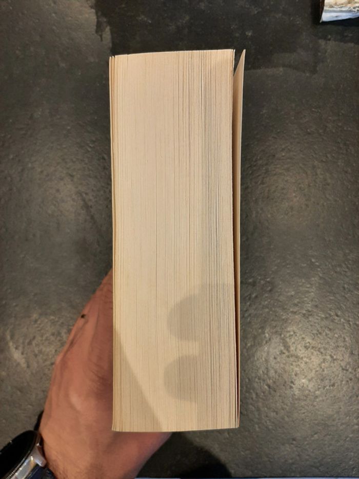 Le Secret des étoiles: T2 de La Trilogie du Prince Dragon - Mélanie Rawn - photo numéro 4