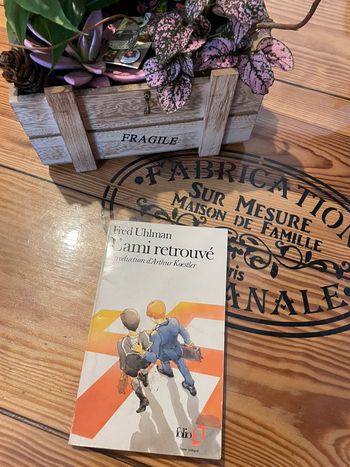 Livre l’ami retrouvé