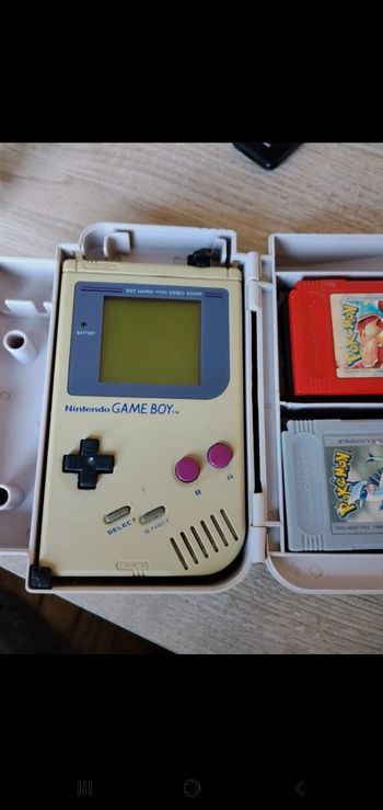 Gameboy Fat