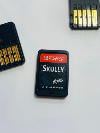 Jeu switch Skully