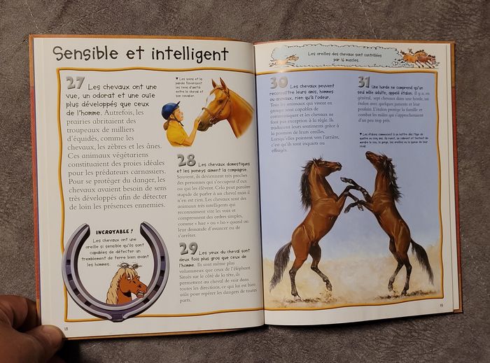 Les Chevaux. Le sais-tu? 100 infos a decouvrir Camilla de la Bedouyere - photo numéro 3