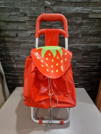 Chariot de course