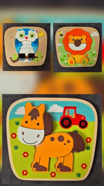 Lot 3 puzzles en bois