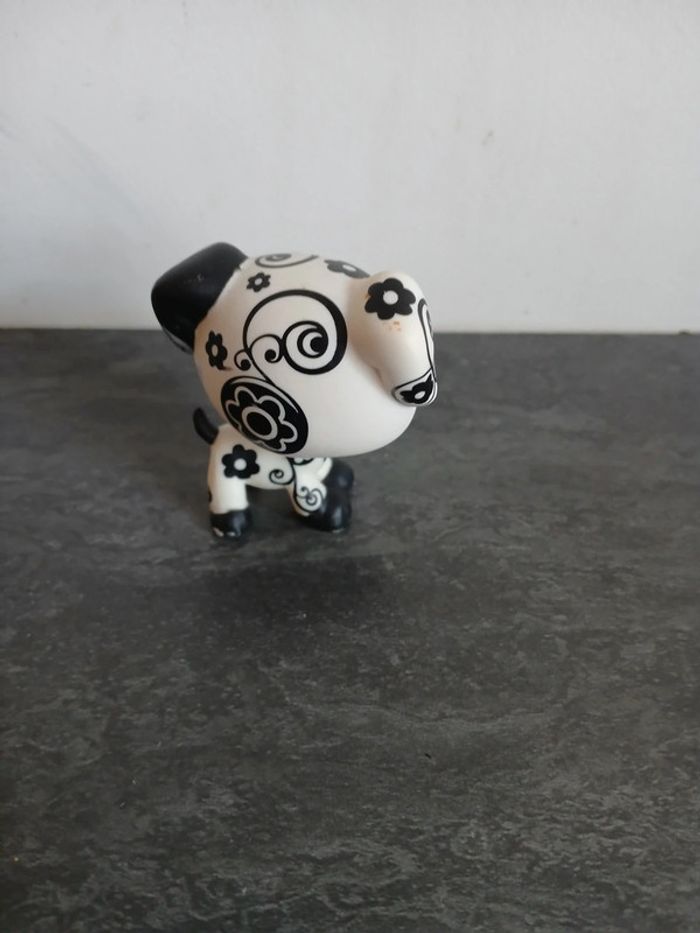 Petshop Dalmatien - photo numéro 3