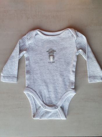 Bodie rayé gris Obaïbi Naissance