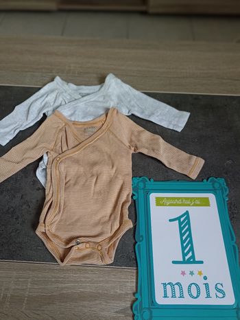 Lots de 2 bodys manches longues