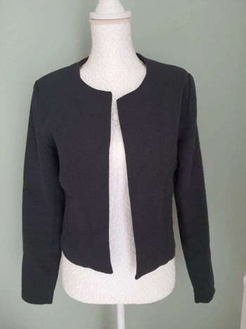 Veste