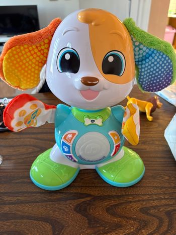 Chien interactif robot Boogie 