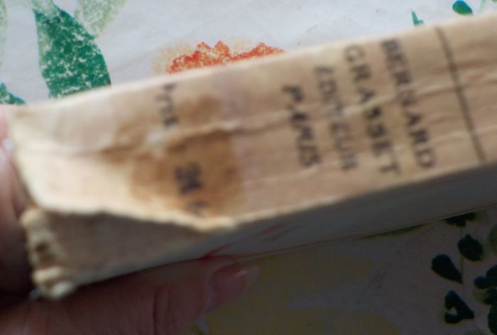 REGAIN de Jean GIONO Ed. Grasset 1941 - photo numéro 4