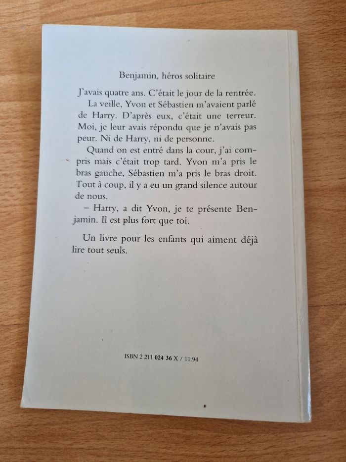 Benjamin le héros solitaire / roman enfant - photo numéro 3