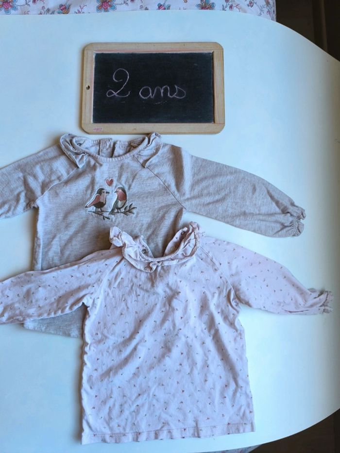 Lot de 2 t-shirts manches longues taille 2 ans en très bon état