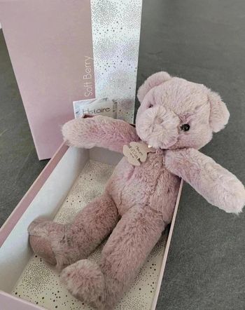 30 € 🧸 Ours Soft Berry - Histoire d'Ours (28 cm) - Neuf dans sa boîte d'origine 🎁
