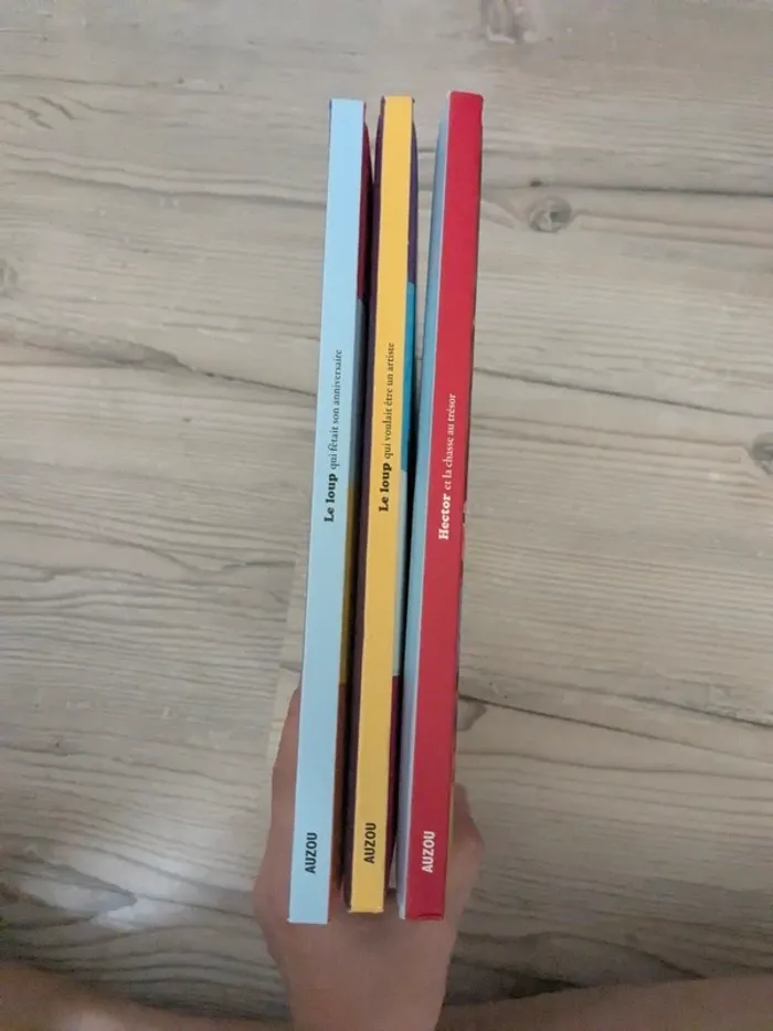 Lot livres auzou le loup et Hector - photo numéro 13