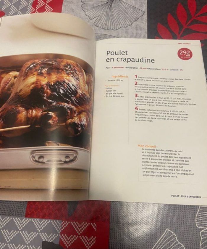 Livre poulet savoureux - photo numéro 3