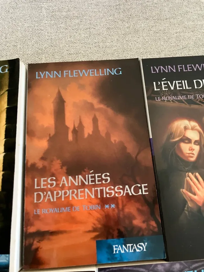 Lot complet – Le Royaume de Tobin de Lynn Flewelling (Tomes 1 à 5) - photo numéro 3
