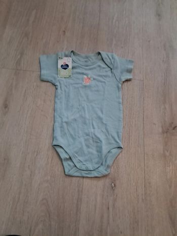 Body manches courtes tortue 36 mois