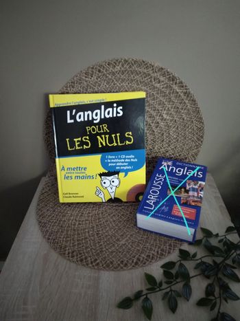 Livre l'anglais pour les nuls